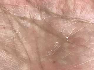 IMG_0468.jpg