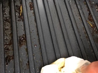 IMG_3641.jpg