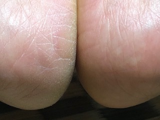 IMG_8559.jpg